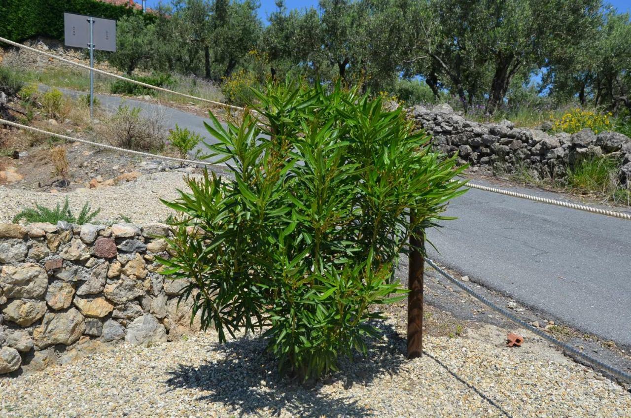 Agriturismo Tendapiccola Ceriale Kültér fotó